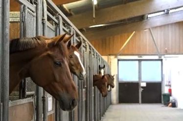 Reitanlage Bremerhaven