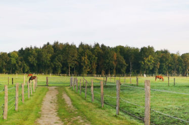 Zugang zu den Weiden